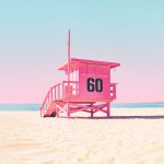 The Cali Gallery