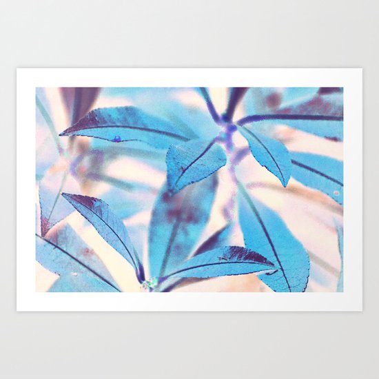 #117 Art Print