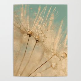 Elegant Gold Dandelion- Floral Flower photography by Ingrid Beddoes  Poster