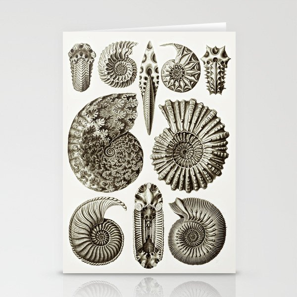 Ernst Haeckel Ammonitida Ammonite Stationery Cards