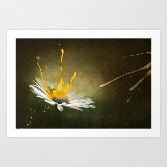Painted Daisy Art Print