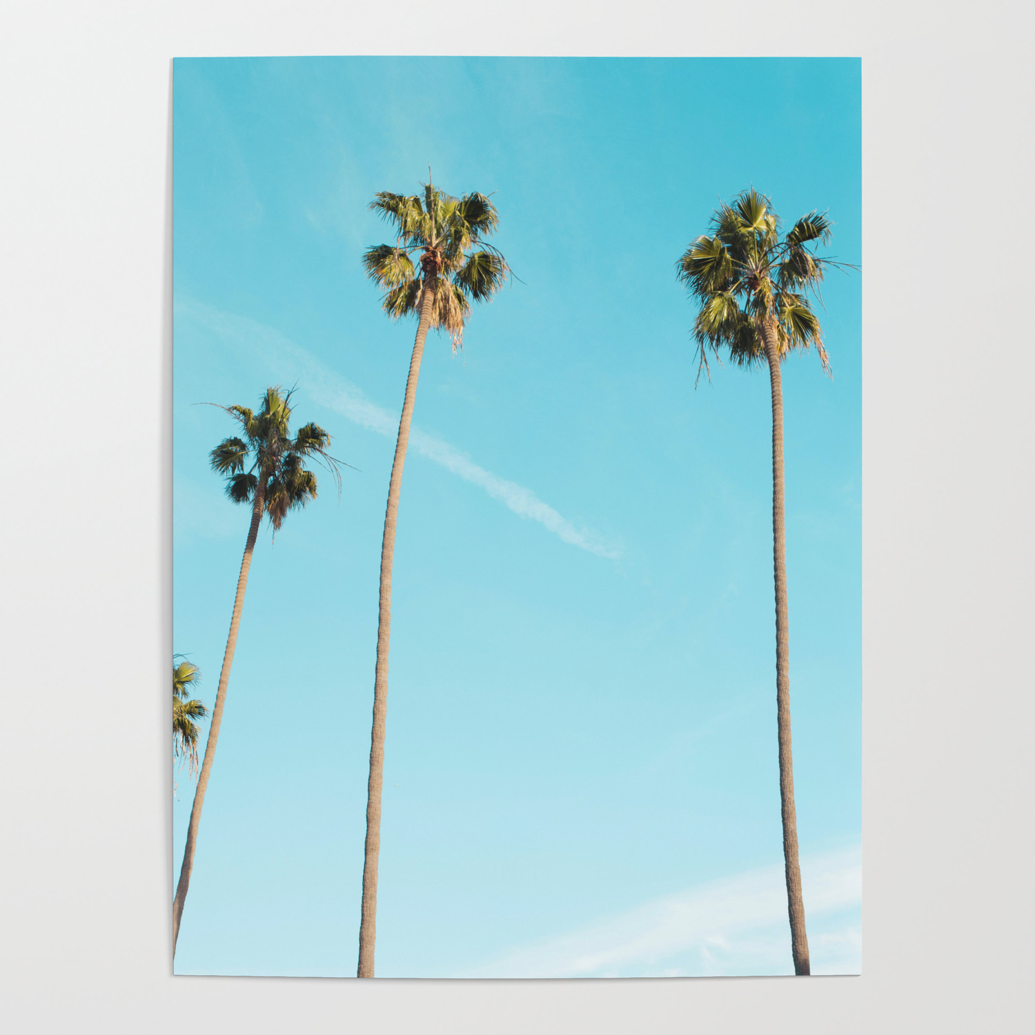 Tropical Miami Palm Trees Poster By Newburydesigns Society6