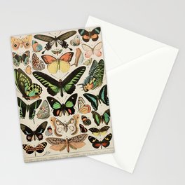 Papillon II Vintage French Butterfly Chart by Adolphe Millot Stationery Card