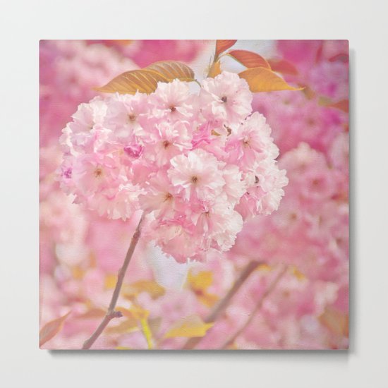 SAKURA 桜 Metal Print