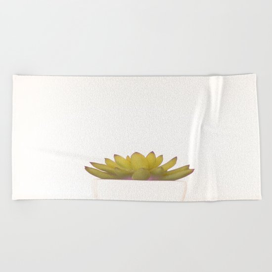 Cactus in flower pot on white background Beach Towel