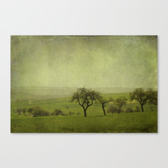 fields and apple trees Canvas Print