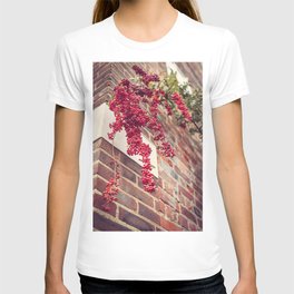 Urban Beauty T-shirt