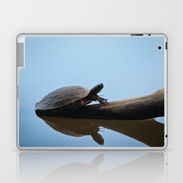 Turtle on The Lake (Color) Laptop & iPad Skin
