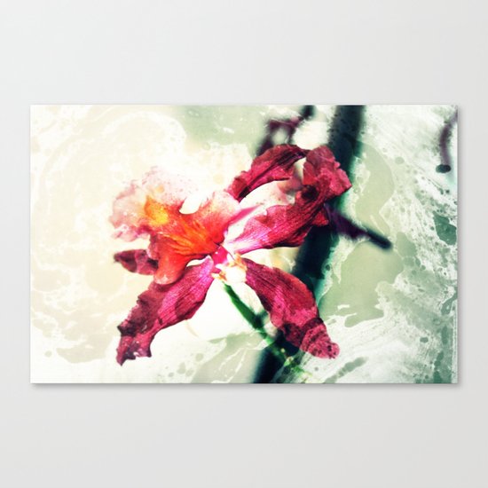 Pink Canvas Print
