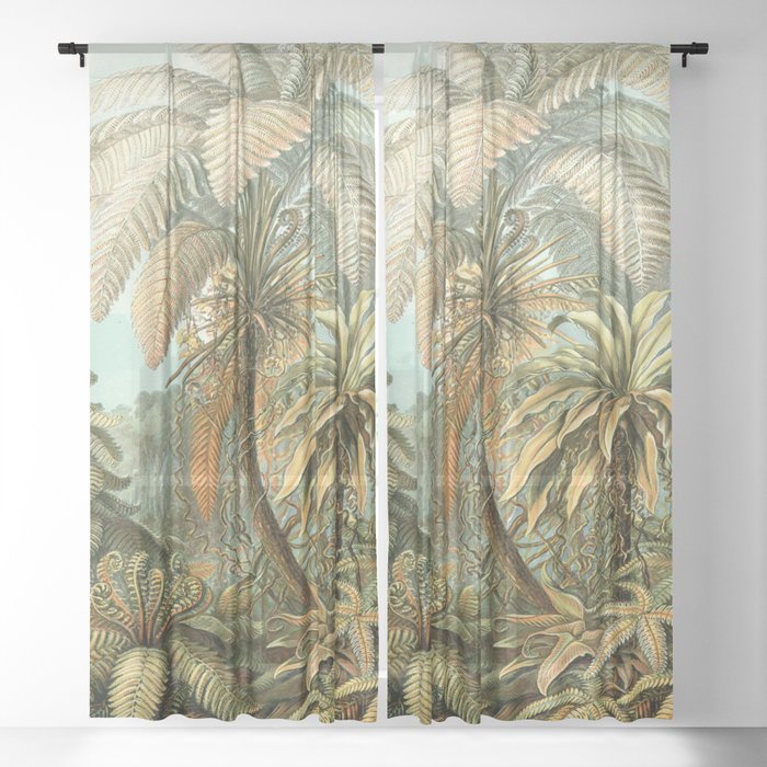 Sheer Curtain