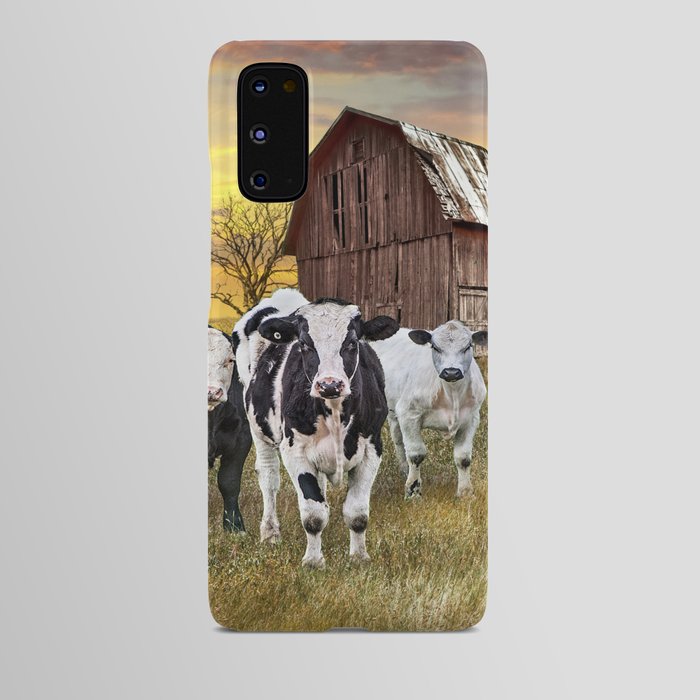 Cattle in the Midwest with Barn and Tractor at Sunset Android Case