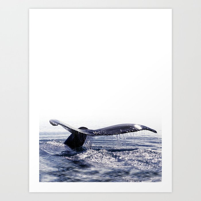 Whale Song 1 Deep Dive Art Print By Monikastrigel