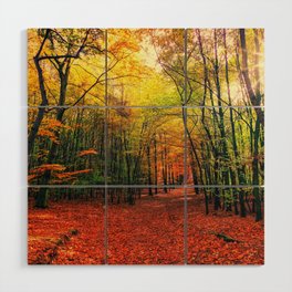 Autumn Forest Landscape Photo Wood Wall Art