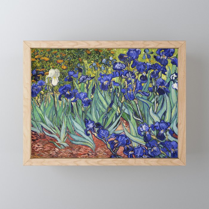 Irises by Vincent van Gogh Framed Mini Art Print