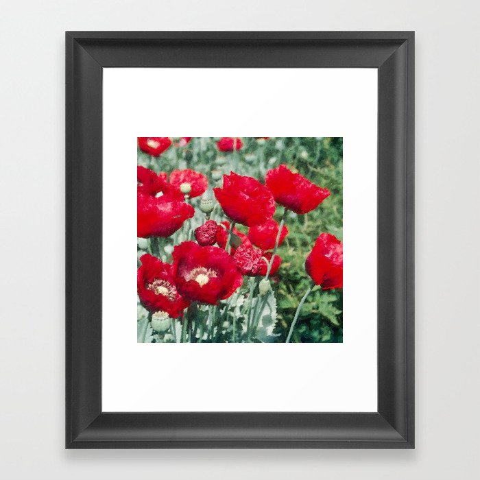 Brilliant Red Poppy Blossoms, Spring Meadow landscape painting, Rhode Island Framed Art Print