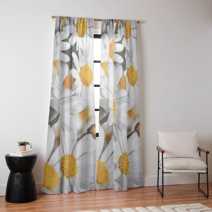 Window Curtain