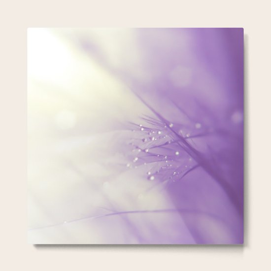 Mist Metal Print