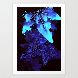 Blue Ivy I Art Print