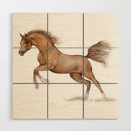 Chestnut arabian horse Wood Wall Art