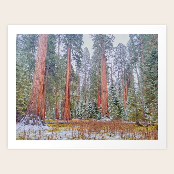 Art Print