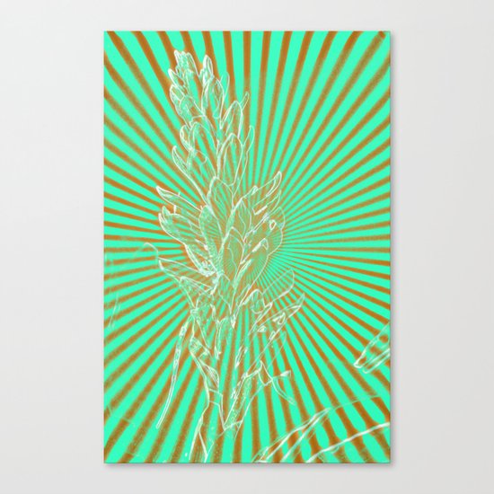 In the Sunbeams Canvas Print