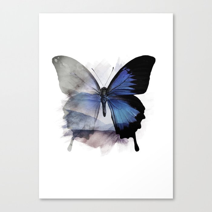 Blue Shadows Butterfly Canvas Print