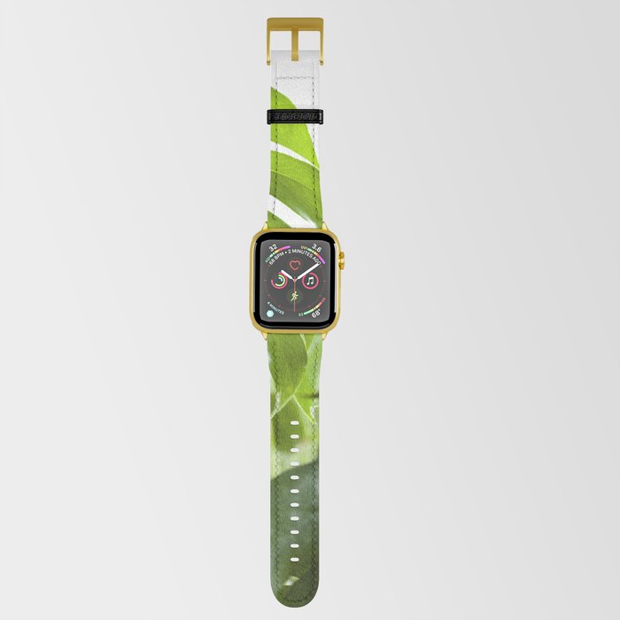 Monstera Deliciosa II  |  The Houseplant Collection Apple Watch Band