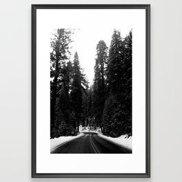 Sequoia Snow Framed Art Print