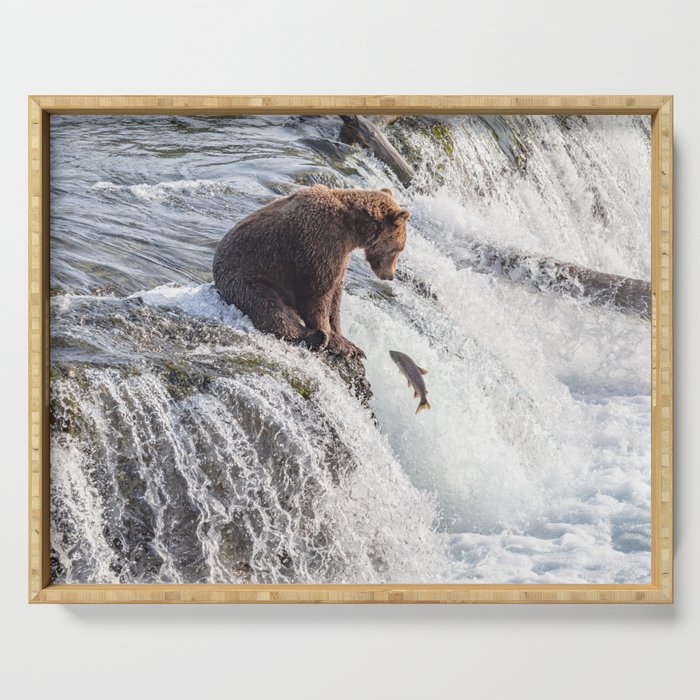Young grizzly bear sits at waterfall Serving Tray