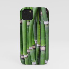 Bamboo Green Lines Stripes Reed Stalk iPhone Case