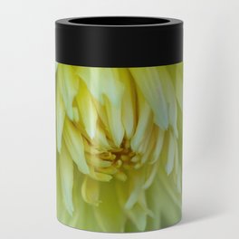 Yellow Cactus Dahlia Kennemerland Can Cooler