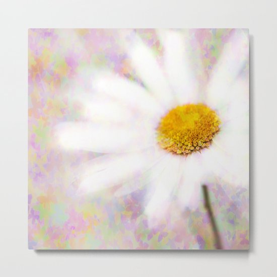 Daisy on Butterflies Metal Print