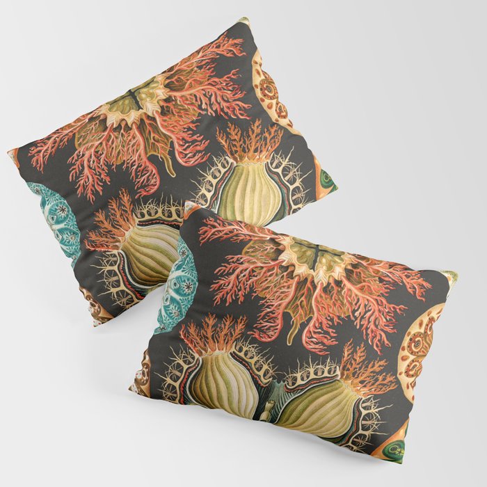 Ernst Haeckel Sea Squirts Illustration, 1904 Pillow Sham