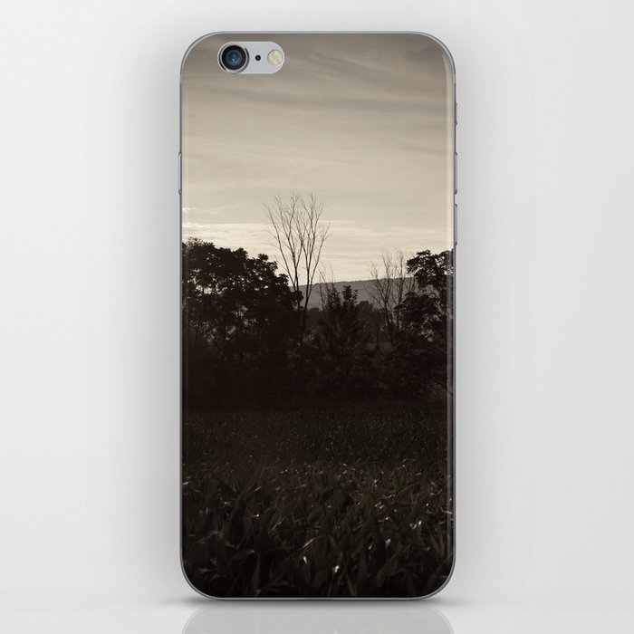 And In The Fields iPhone Skin