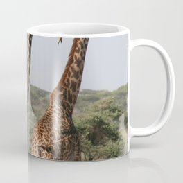 South Africa Photography - Three Giraffes Enjoying The View Coffee Mug