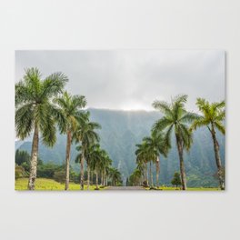 Hawaii Palm Tree Road In Fog Canvas Print