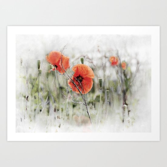 Poppies(mist). Art Print