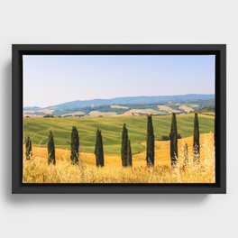Wine Country Framed Canvas