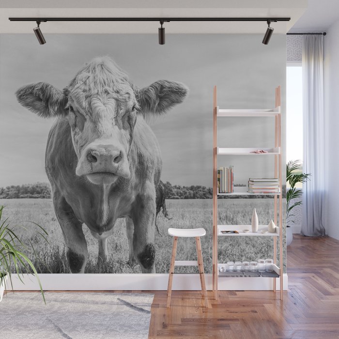 Animal Photography | Cow Portrait Minimalism | Farm animals | black and  white Wall Mural by Wildhood | Society6
