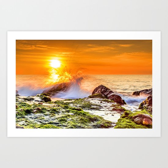 Beauty nature XIV Art Print