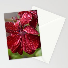 Rainy Blooming Flower Stationery Card