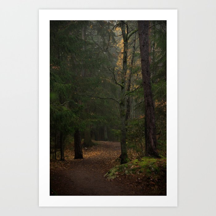 Winding Dirt Road In A Foggy Autumn Forest Art Print