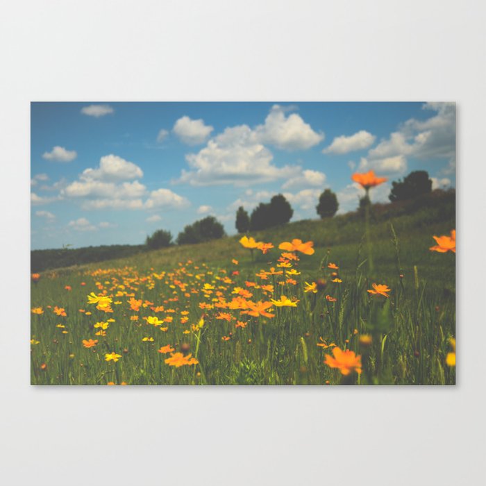 Dreaming in a Summer Field - boho nature wildflower photograph Canvas Print