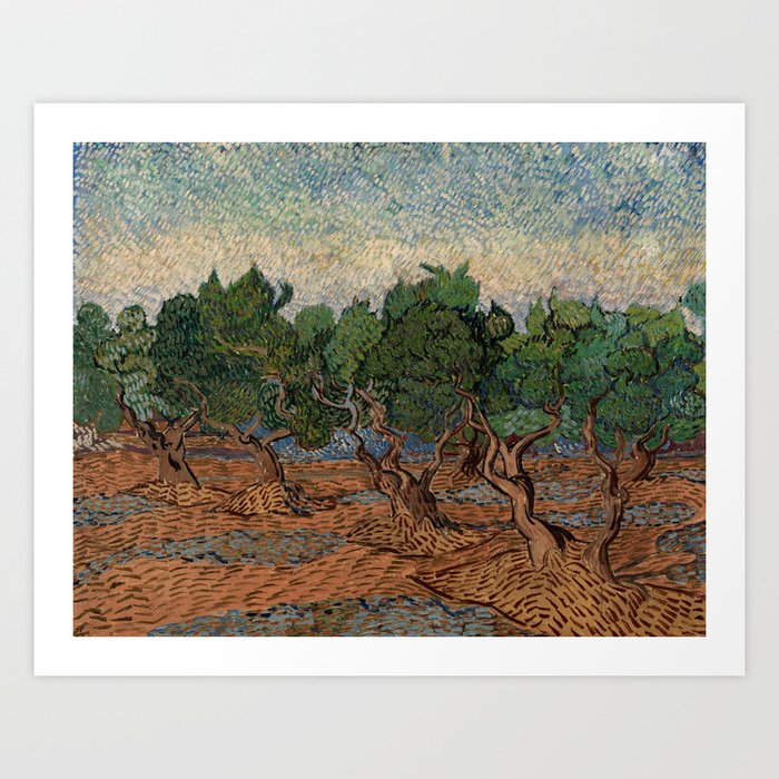 Vincent van Gogh - Olive Grove Art Print