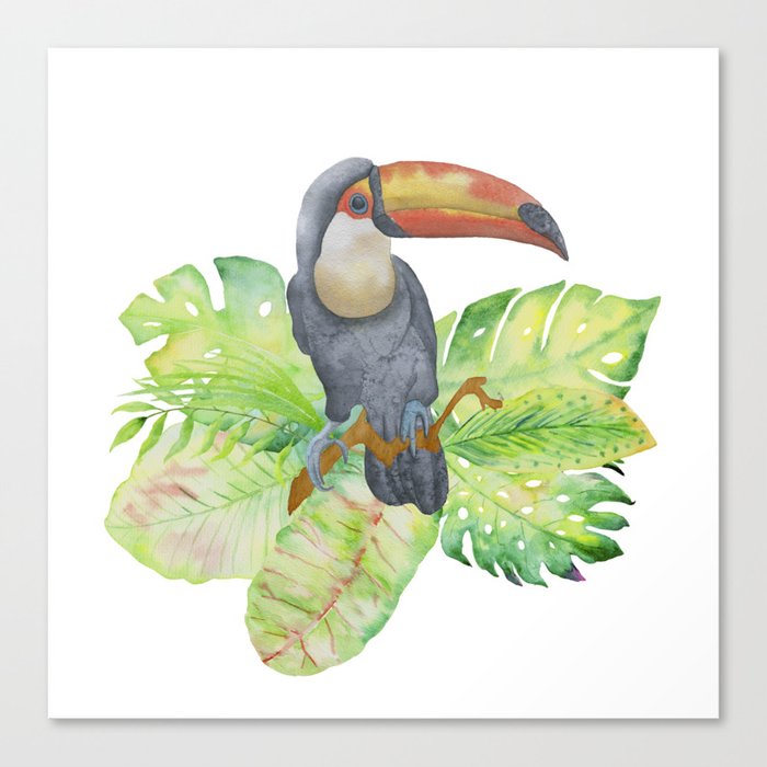 Toucan tropical and exotic Bird Canvas Print