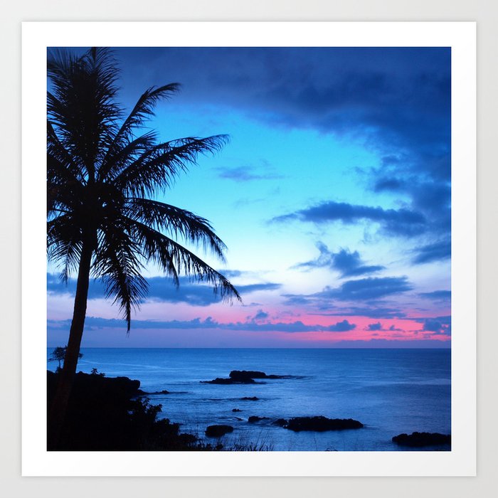 blue sunset with palm trees