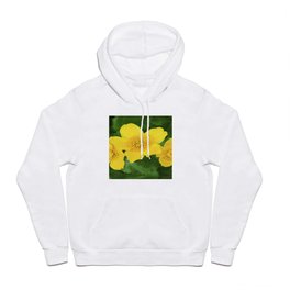Marsh Marigold Caltha Palustris Hoody