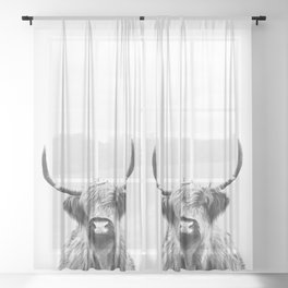 Black and White Highland Cow Portrait Sheer Curtain
