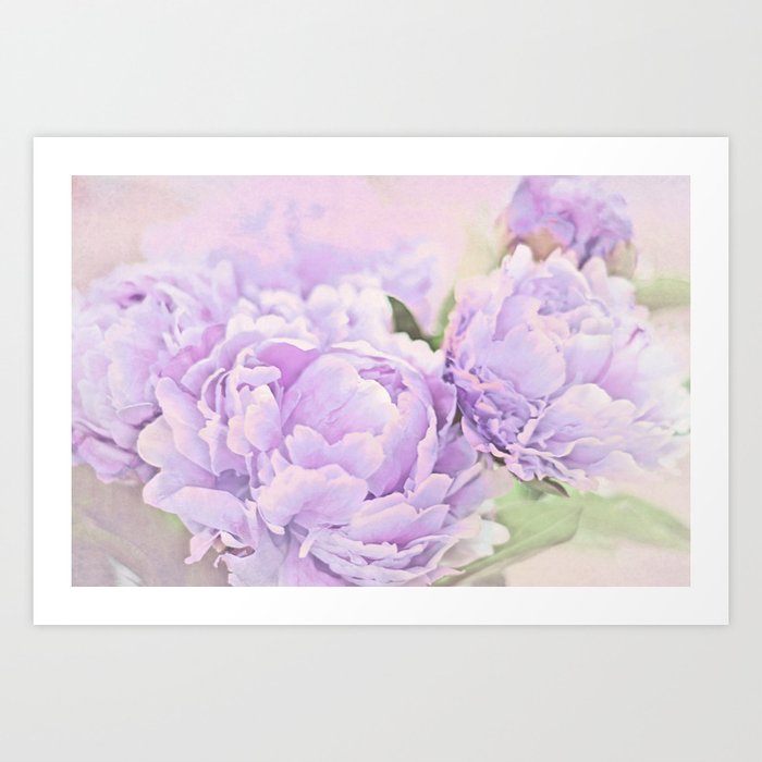 Lavender Peonies Art Print