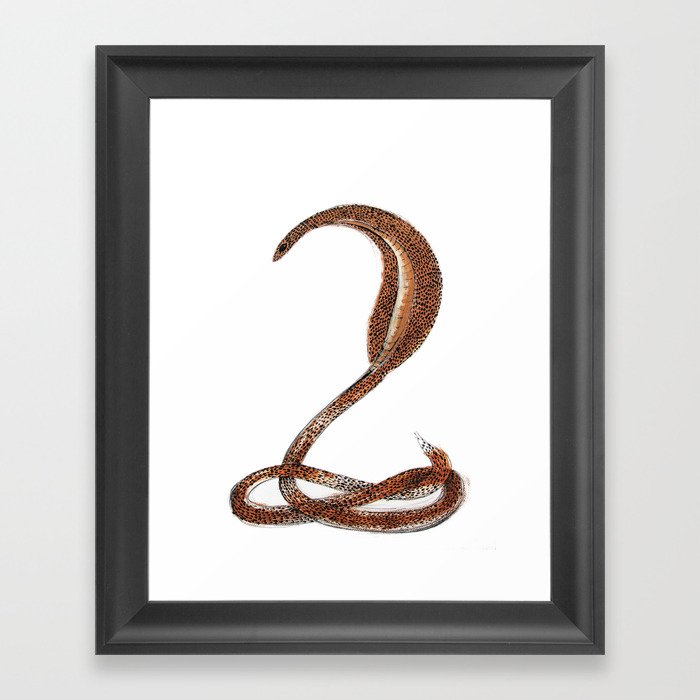Desert Serpent Framed Art Print
